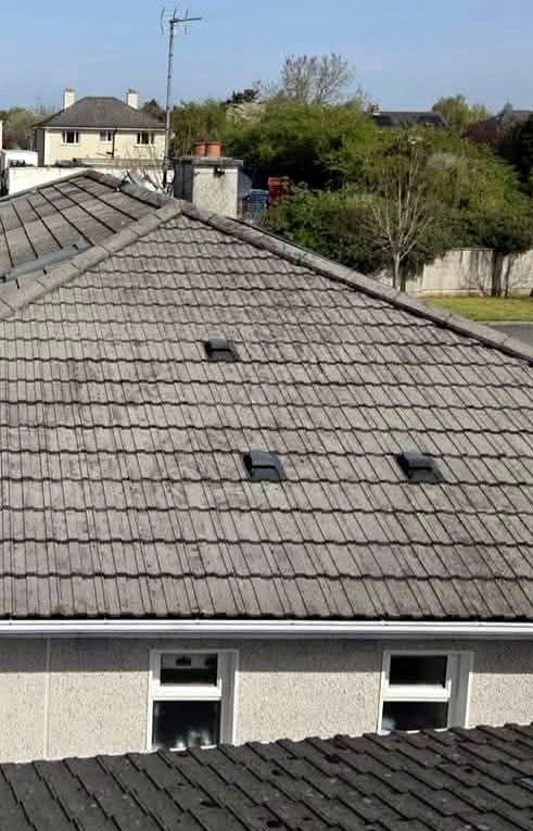 Roof soft wash — before